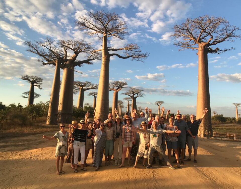 Magical Madagascar Day 6 - June 20th – Antsirabe to Ranomafana